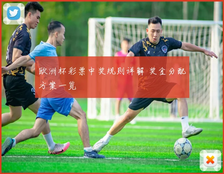 欧洲杯彩票中奖规则详解 奖金分配方案一览